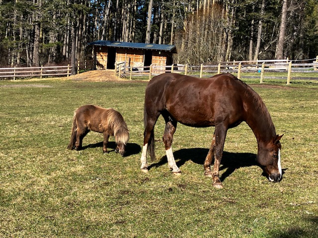 How to Have the Perfect Farm Day, by Bleu & Simon