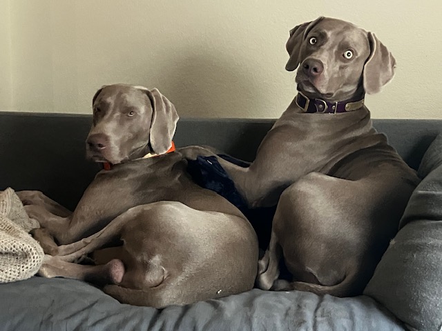 How to Have the Perfect Farm Day, by Bleu & Simon
