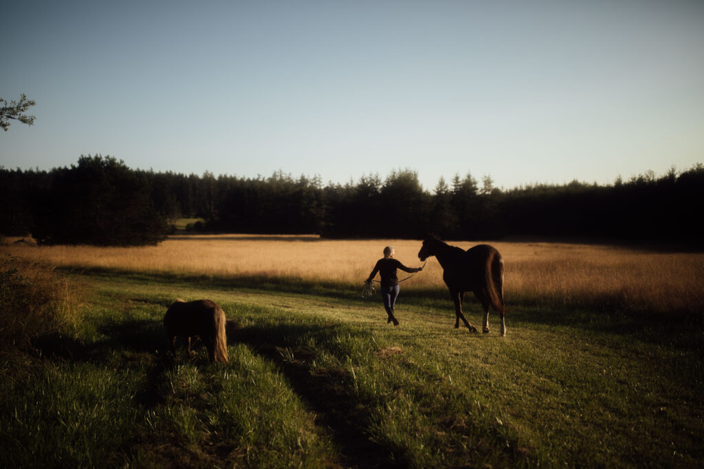 Planting the Seeds: A New Moon Invitation to Keep Refining