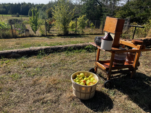 The Star Inside the Apple: Balance for Body, Spirit & Bond